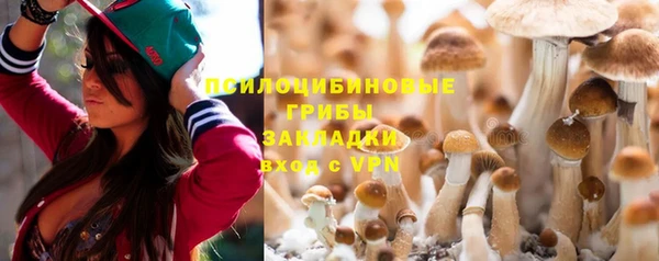 дурь Верея